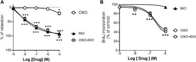 Impact of a TAK-1 inhibitor as a single or as an add-on therapy to riociguat on the metabolic reprograming and pulmonary hypertension in the SUGEN5416/hypoxia rat model